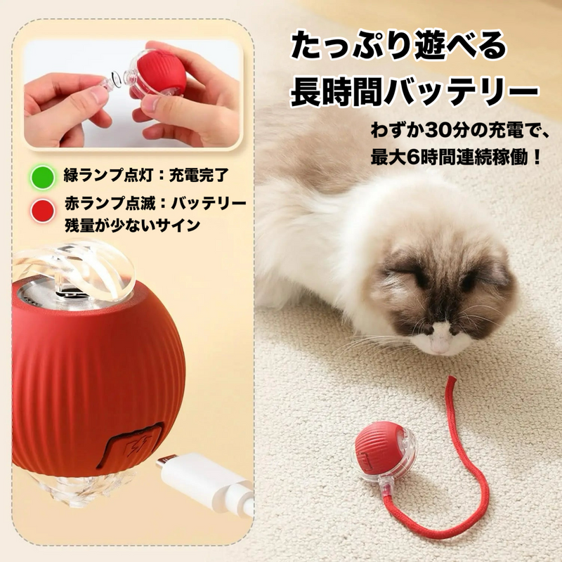 インタラクティブ・スマートペットボール