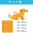 バディ・ロデオ ライダーズ