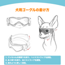 ワンシールド・アイズ