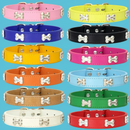 絆きらめくボーンレザーカラー