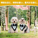 おめかしハーネス｜わんこのフォーマルコーデ