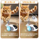 スマート・キャット・ハンティングカー