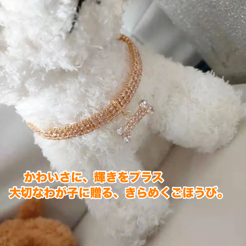 ジュエルボーンカラー