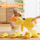 ふわぴよアヒルちゃん