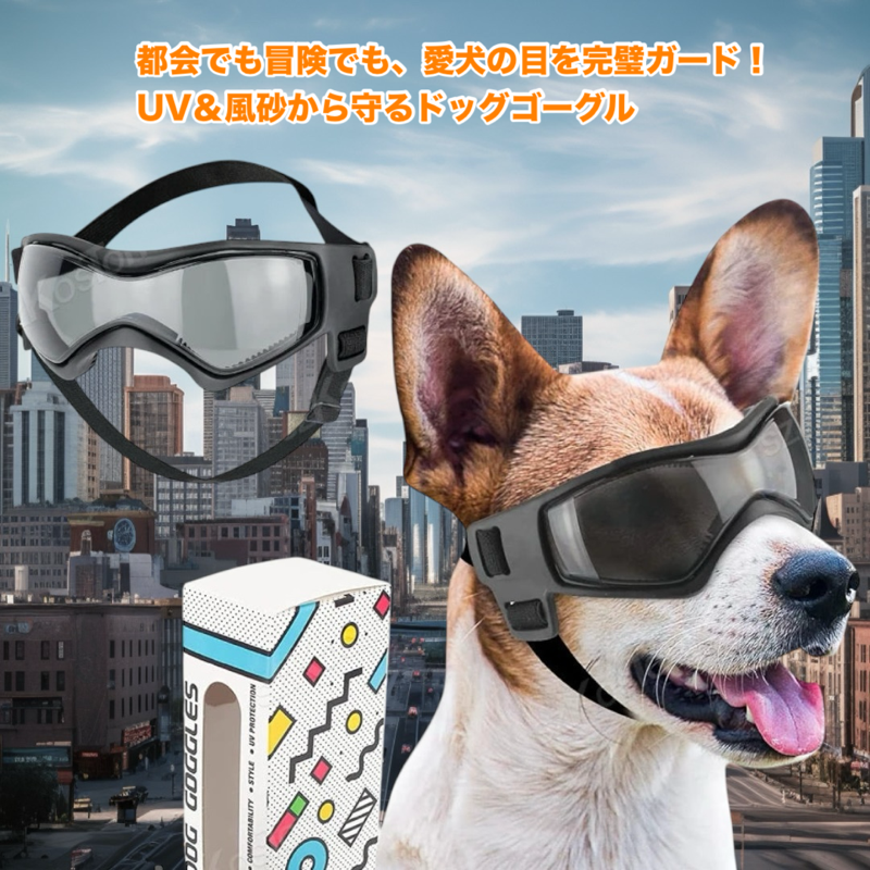ワンシールド・アイズ