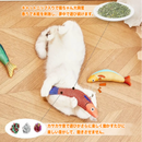 にゃんこフィッシュ