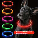 LumiPaw安全LED首輪