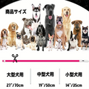 LumiPaw安全LED首輪