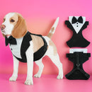 おめかしハーネス｜わんこのフォーマルコーデ