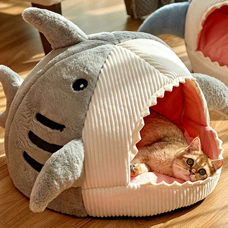 シャークスリープハウス
