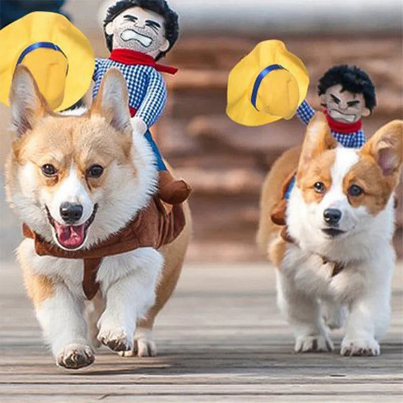 バディ・ロデオ ライダーズ