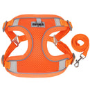 キラキラ反射ハーネスセット