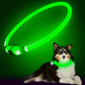 LumiPaw安全LED首輪