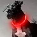 LumiPaw安全LED首輪
