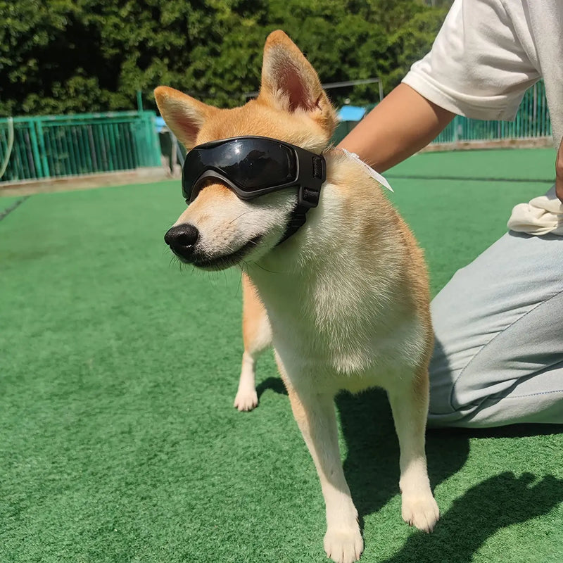 ワンシールド・アイズ