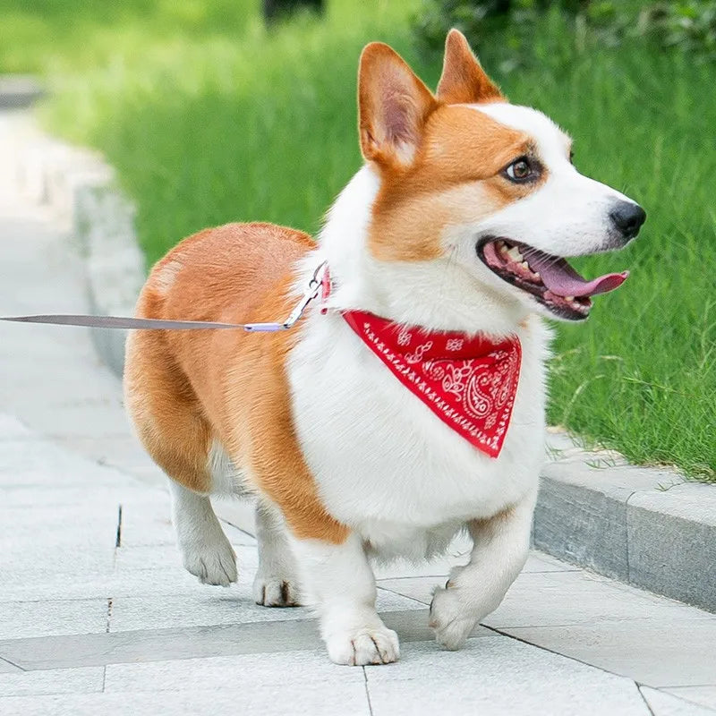 おしゃれワンにゃんスカーフ